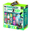 Picture of HEADU THE HUMAN BODY UNDER X-RAY